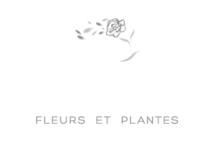 
            Flower Delivery Laura, SA by Flower Storm +61 (0) 4 0322 0199
